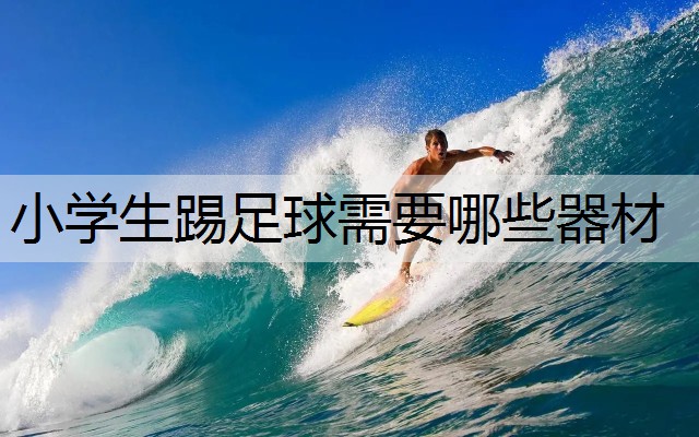 小学生踢足球需要哪些器材