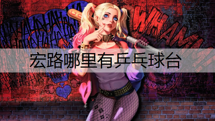 宏路哪里有乒乓球台
