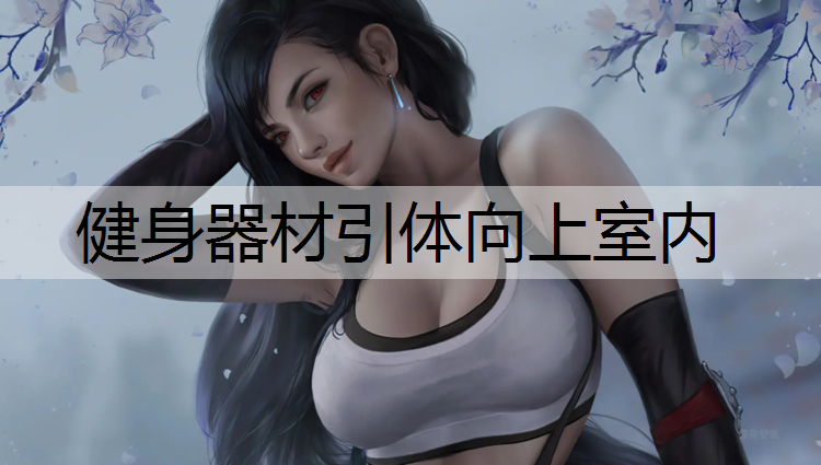 健身器材引体向上室内