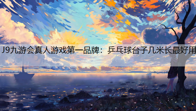 J9九游会真人游戏第一品牌：乒乓球台子几米长最好用