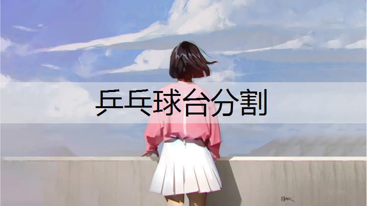 乒乓球台分割