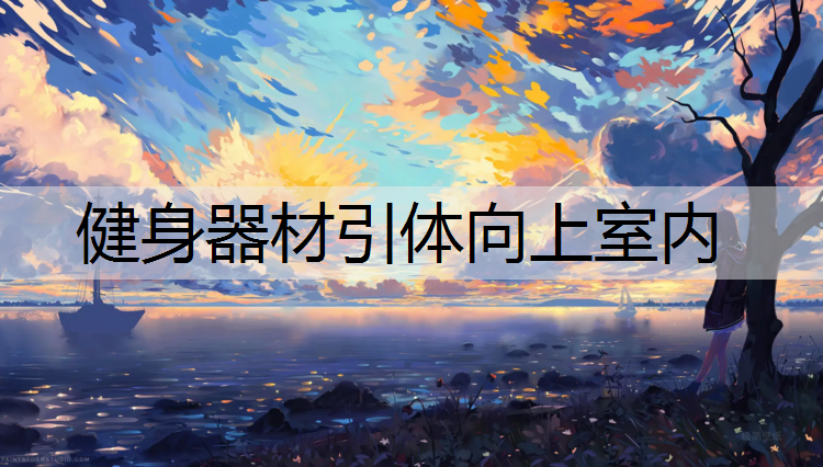 健身器材引体向上室内