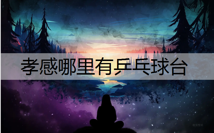 孝感哪里有乒乓球台