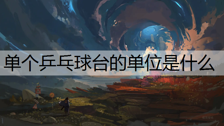 单个乒乓球台的单位是什么
