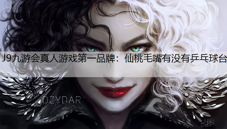 仙桃毛嘴有没有乒乓球台