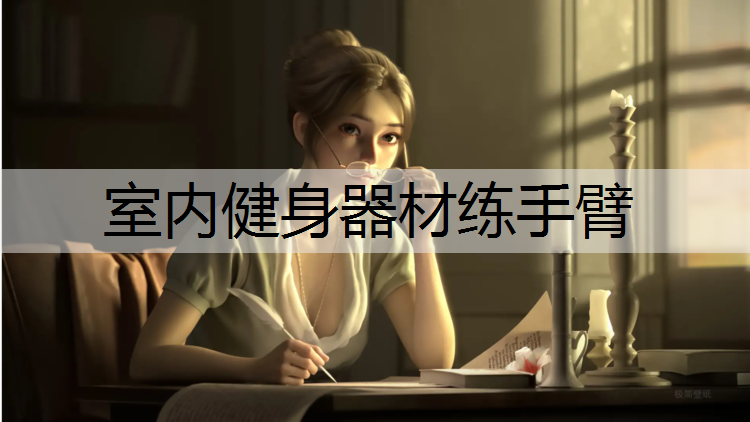 室内健身器材练手臂